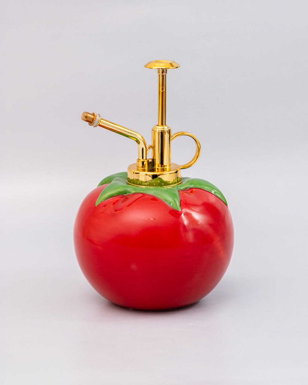 PLANT MISTER TOMATO