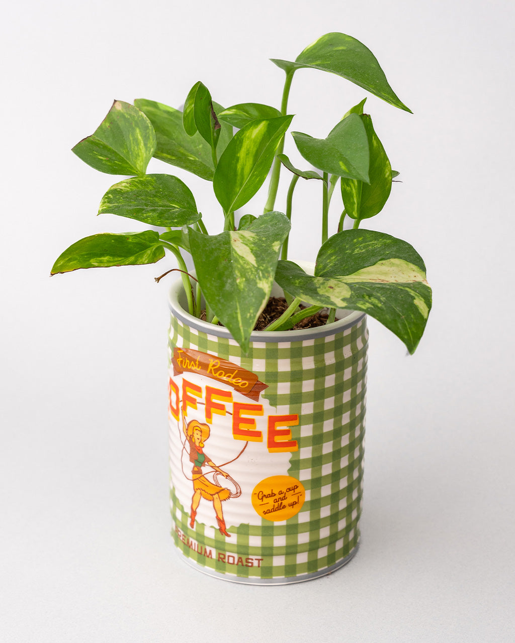 COFFEE CAN CERAMIC PLANTER