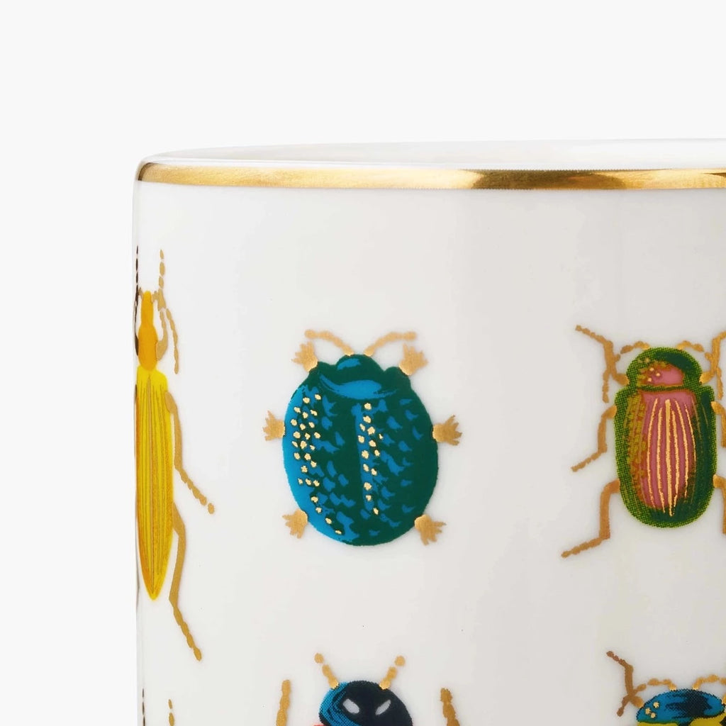 VASE BEETLES &amp; BUGS