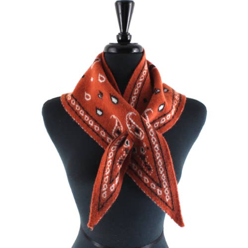PAISLEY TRIANGLE