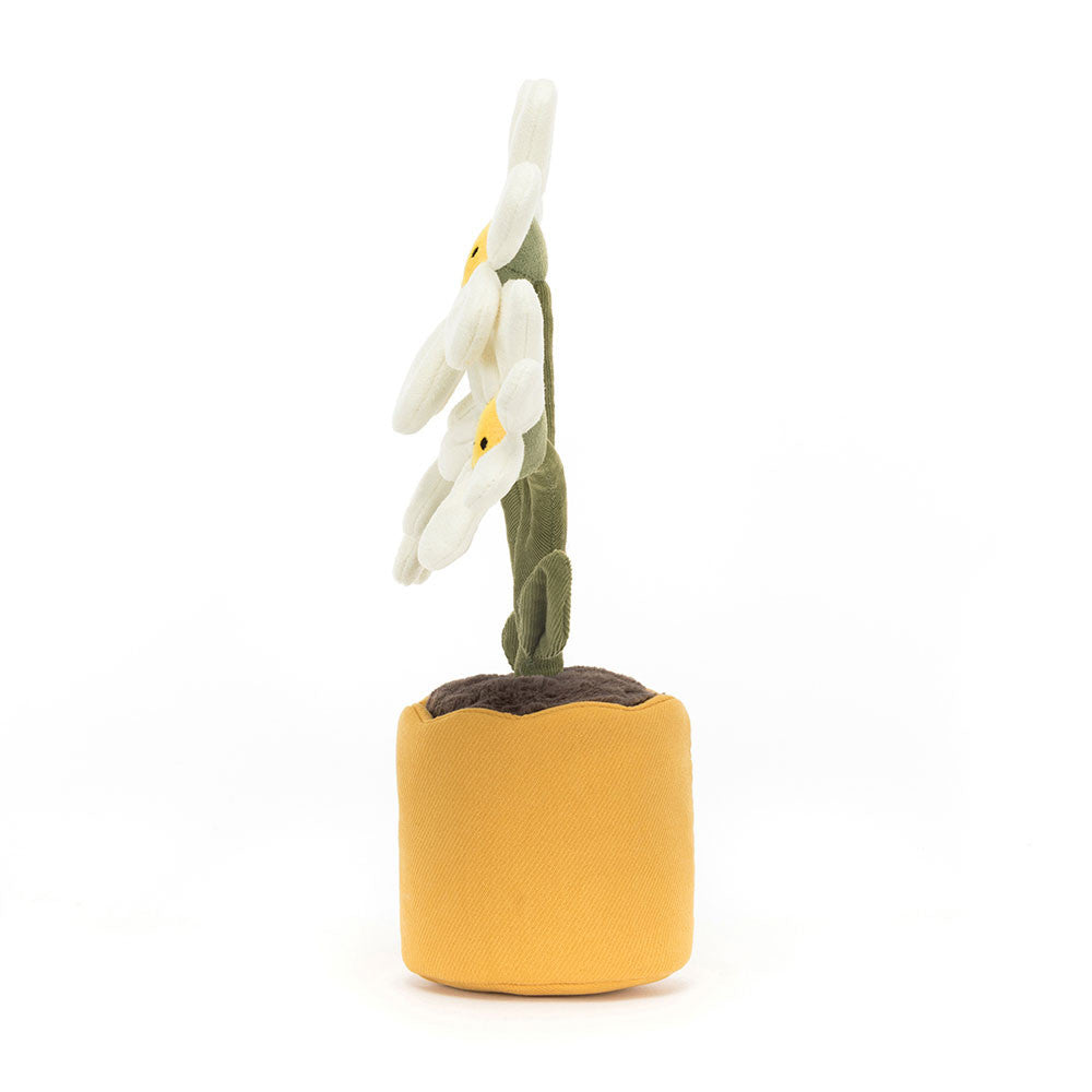 AMUSEABLES DAISY