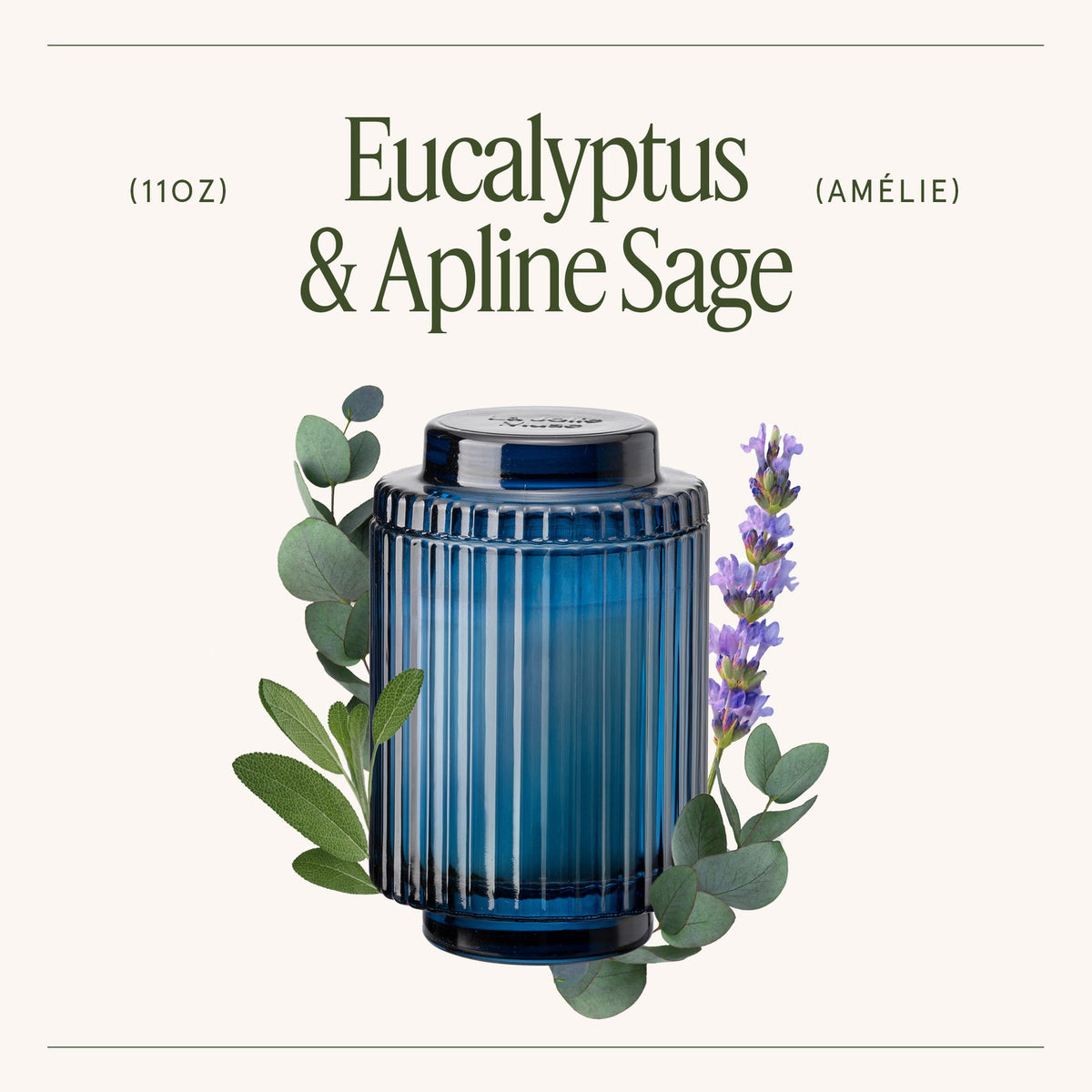 AMELIE CANDLE EUCALYPTUS & ALPINE SAGE