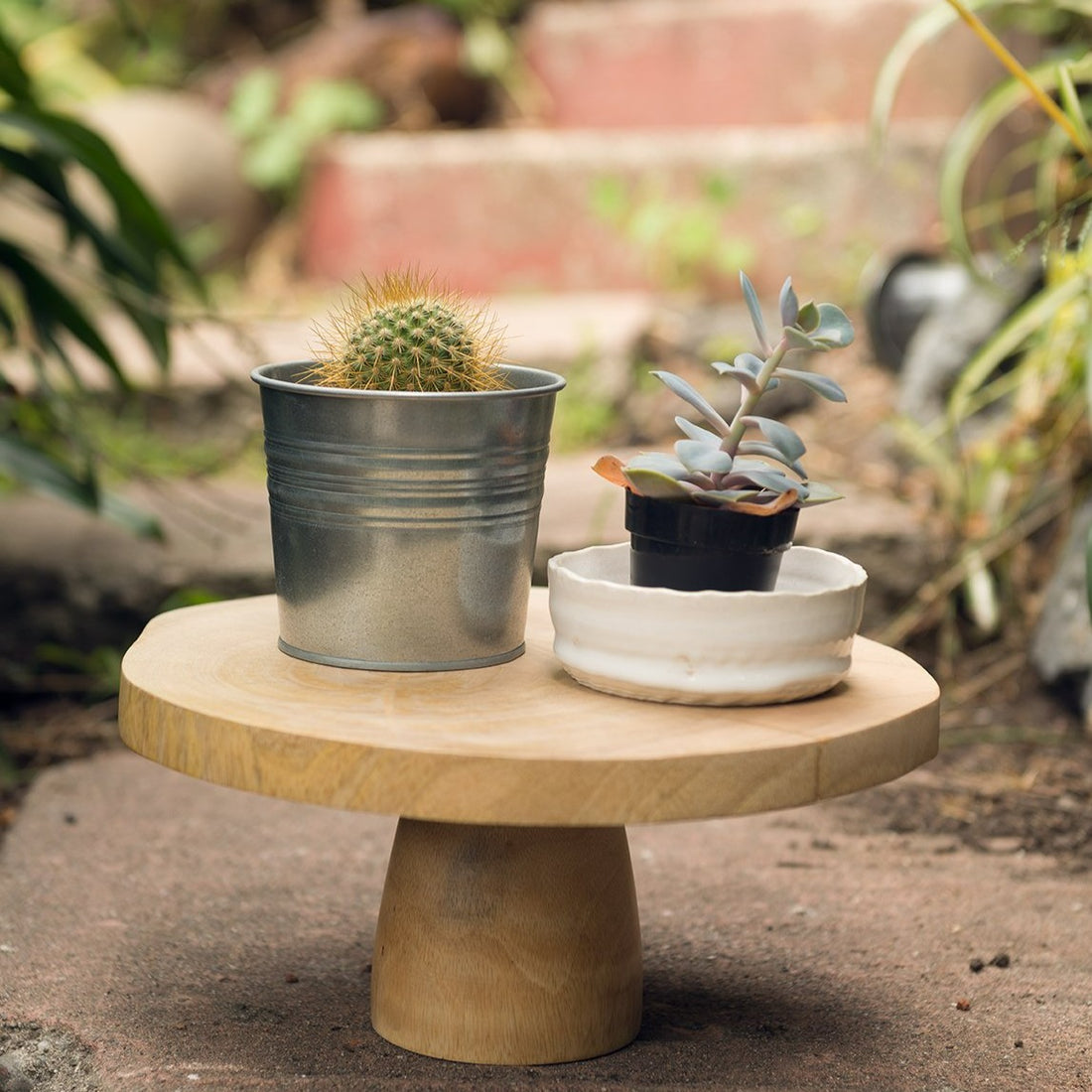 KILN MANGO WOOD CAKE STAND