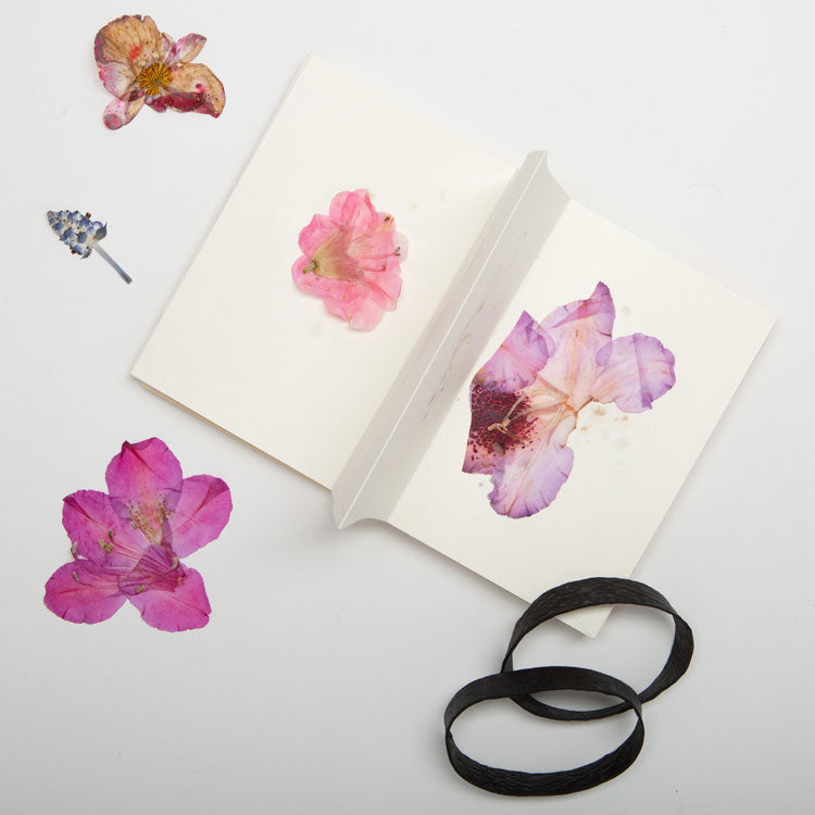 FIELD FLOWER PRESS