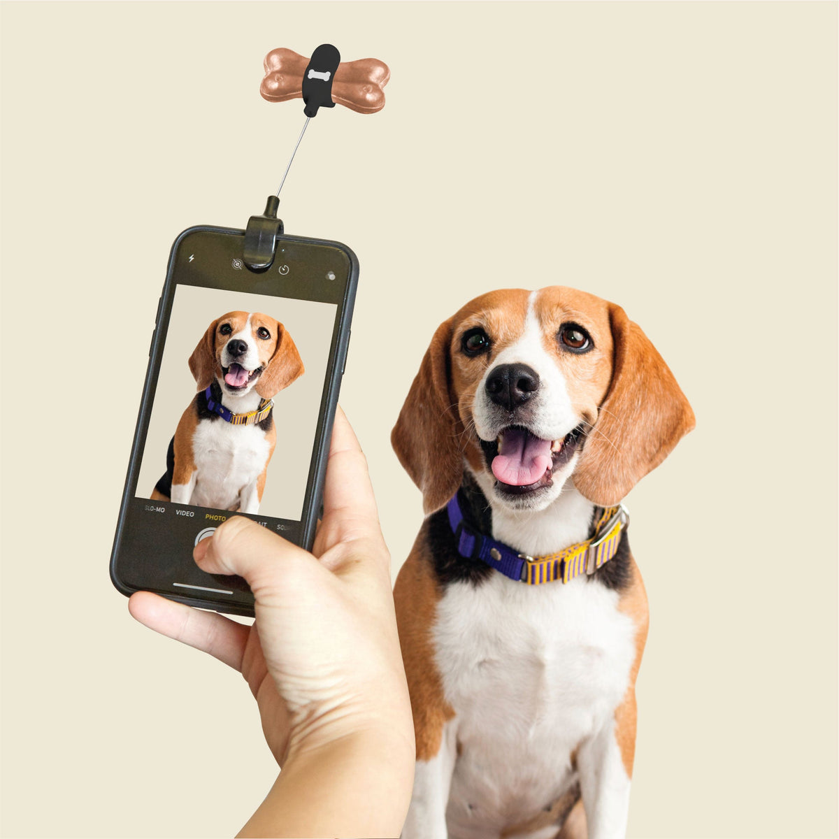 DOG TREAT SELFIE CLIP