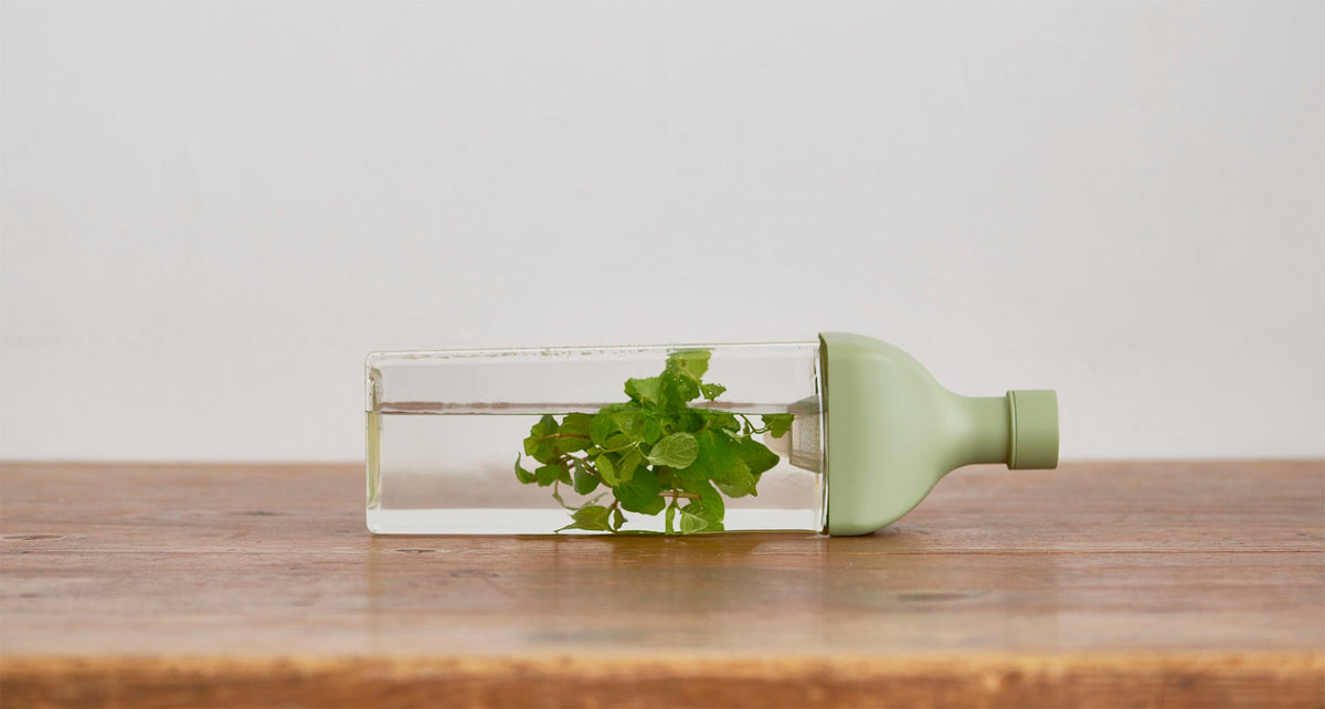 KA-KU COLD BREW TEA BOTTLE