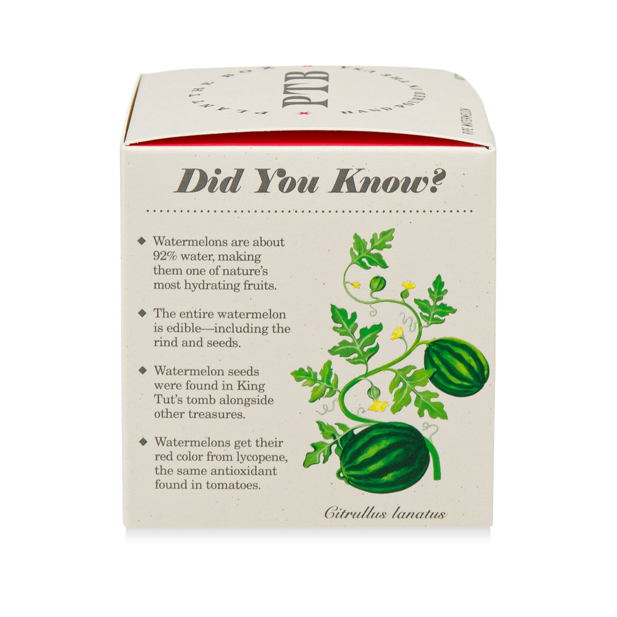 RIPE WATERMELON