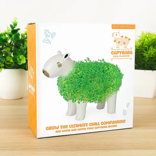 CAPYBARA CHIA PLANTER