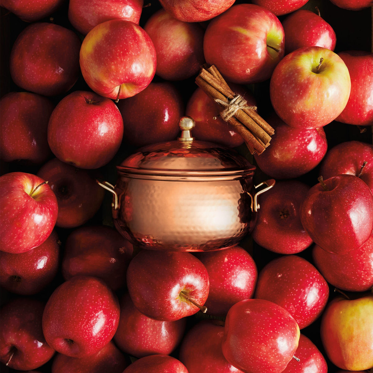 SIMMERED CIDER COPPER POT 3 WICK