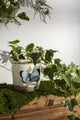 FLUTTER POT 4"