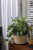 MAPLE BASKET SMALL 11"